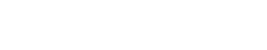 Nuvolari - Client of Linear Dynamics