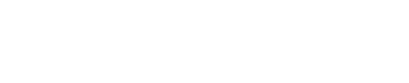 Travco - Client of Linear Dynamics